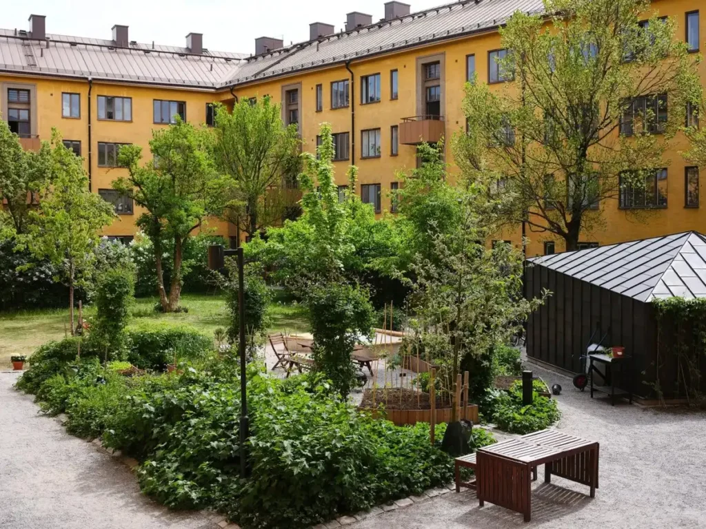 How Do People Live in Tiny Apartments? A Woman Showed Her 215-Square-Foot Home