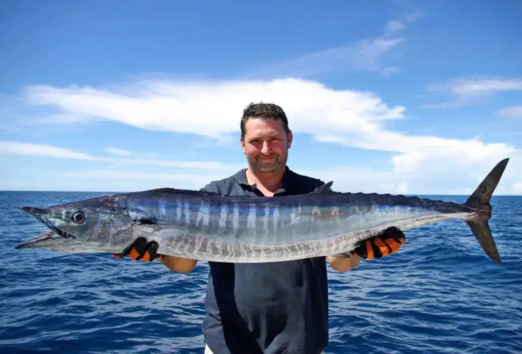 High-Speed Swimmers: The 5 Fastest Fish in the Ocean