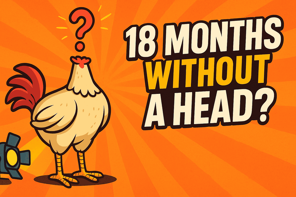 How Did a Headless Chicken Survive for 18 Months? The True Story of Mike
